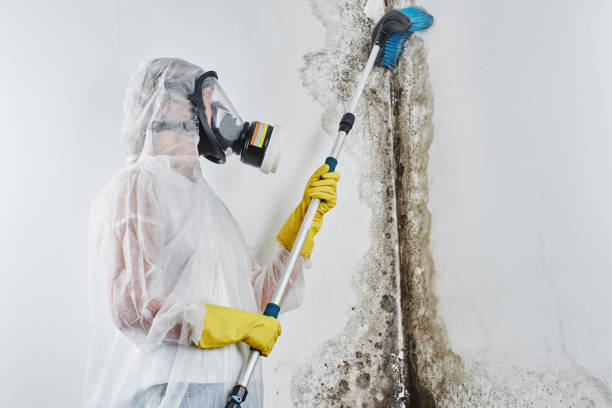 Best Crawl Space Mold Removal  in Oakes, ND