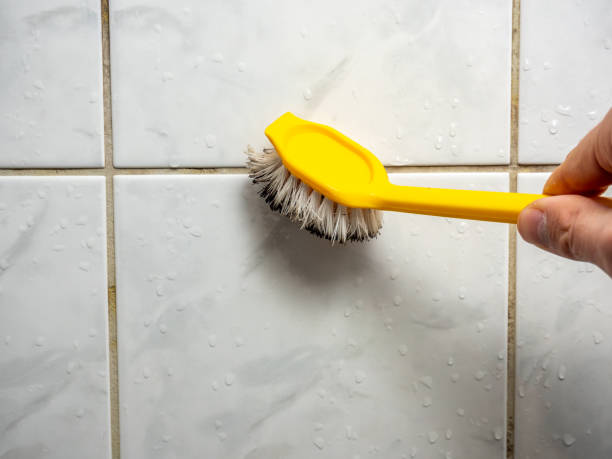 Best Mold Cleaning Services  in Oakes, ND