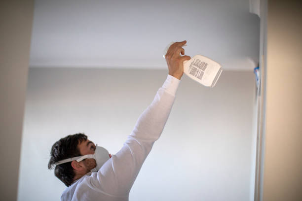 Best Mold Remediation  in Oakes, ND