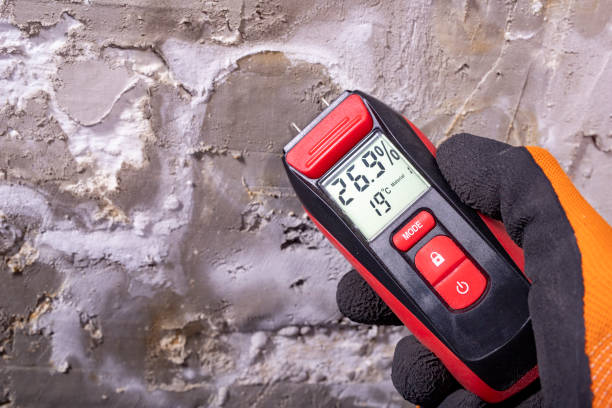 Best Residential Mold Removal  in Oakes, ND