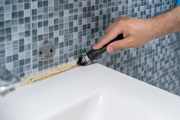 Best Fast Mold Removal  in Oakes, ND