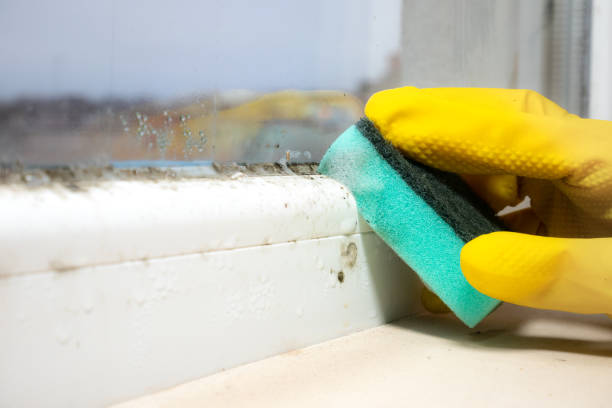 Best Mold Cleaning Services  in Oakes, ND