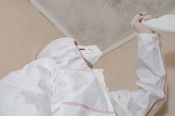 Best Emergency Mold Removal  in Oakes, ND
