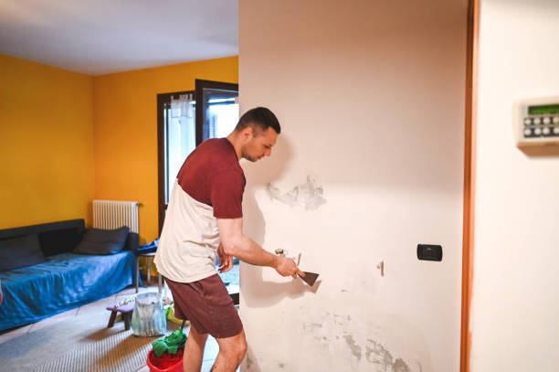 Best Attic Mold Removal  in Oakes, ND