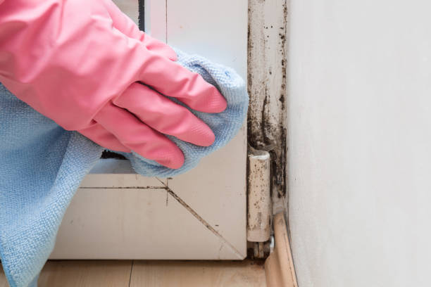 Best Crawl Space Mold Removal  in Oakes, ND